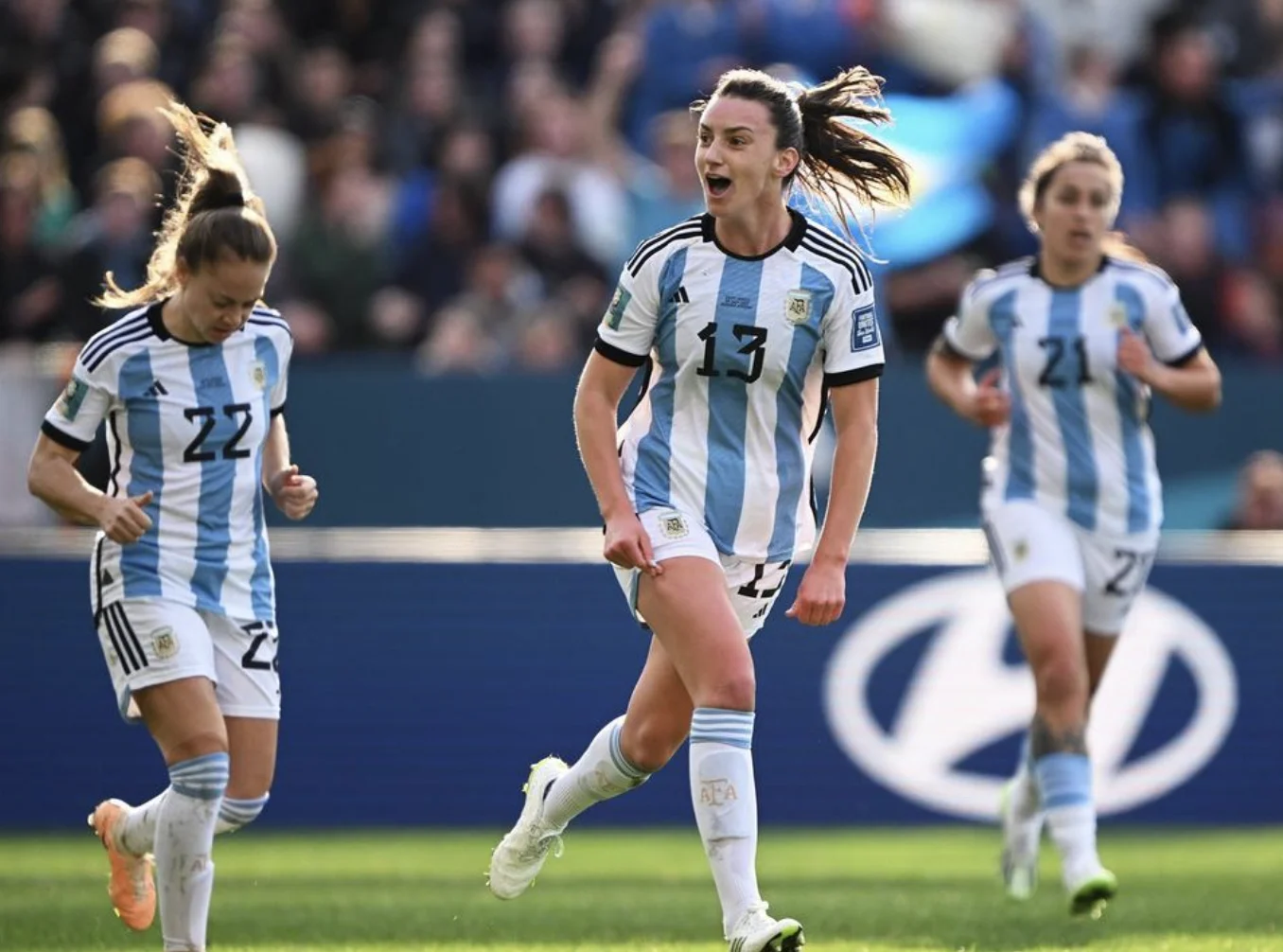 Braun Argentina